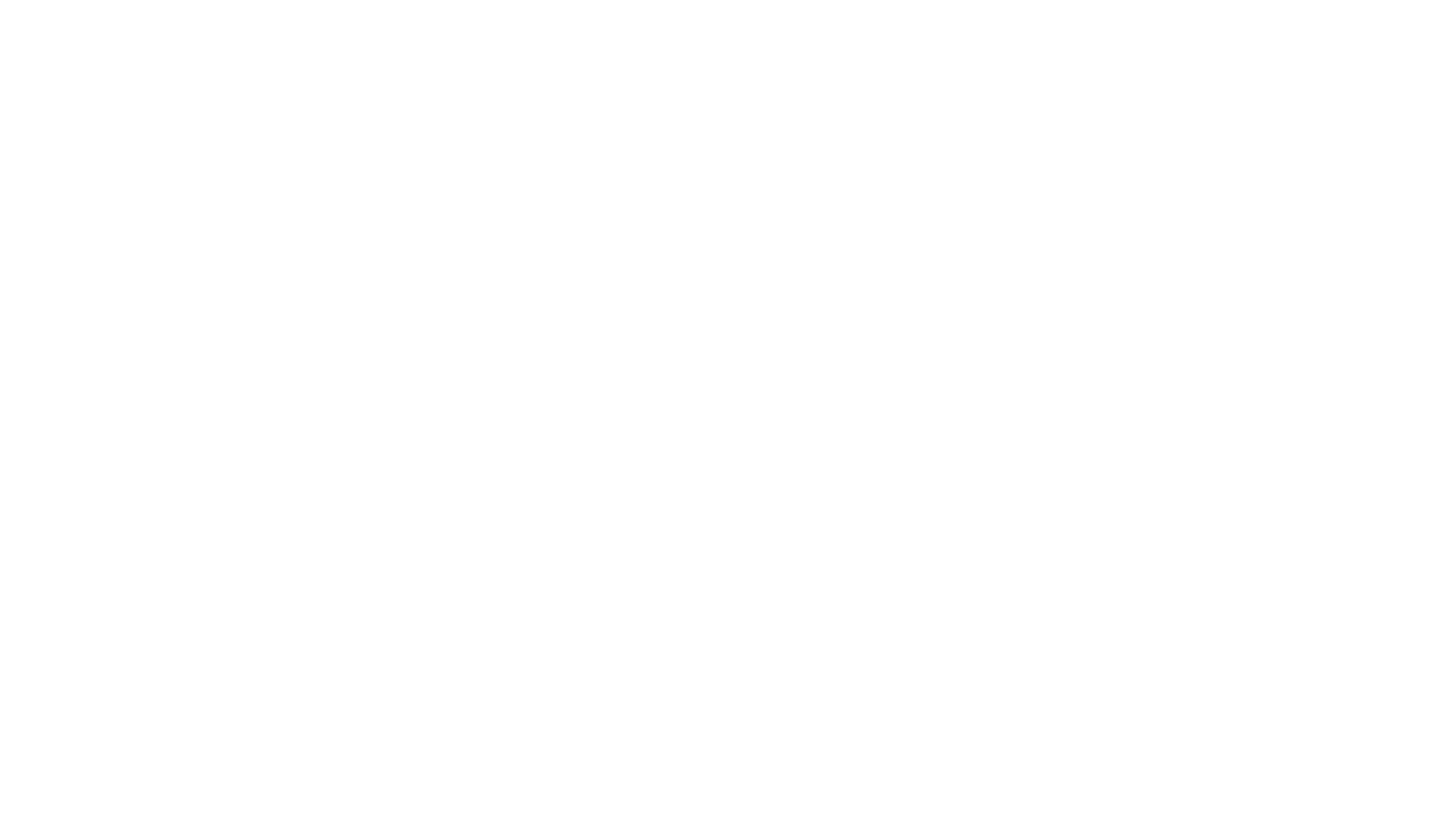 The Disability Collective