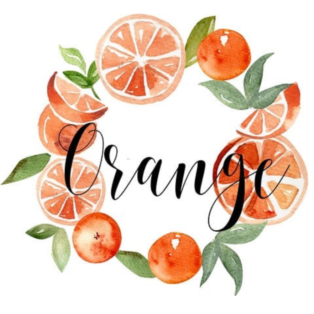 The Orange Studios logo with the word "orange" in black cursive font surrounded by a wreath of oranges and orange slices, which represents the bright, early mornings that put a start to new beginnings.